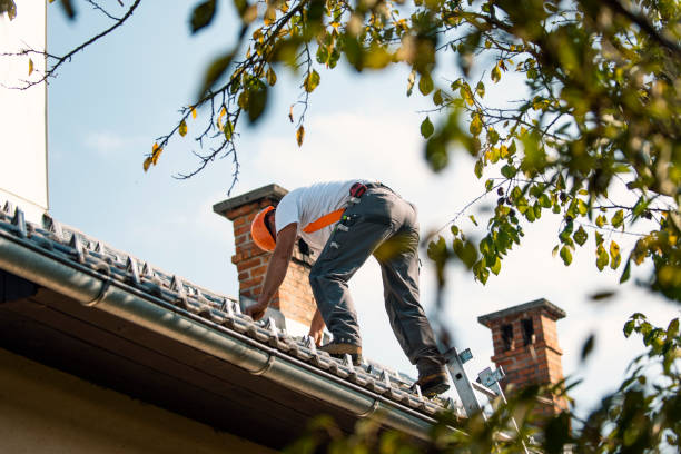 Best Roof Moss and Algae Removal  in Lifornia City, CA