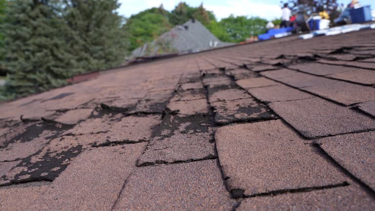 Best Sheet Metal Roofing  in Lifornia City, CA